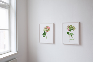 Felix Dobbert RANDOM FLOWERS, 2016