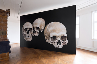 Shirana Shahbazi SCHÄDEL-03 PAINTING, 2008