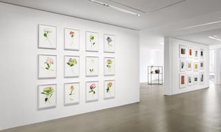 Felix Dobbert RANDOM FLOWERS, 2016 (l.) / Jörg Sasse BLOCK 13, 2015 (1984-2012) (r.)