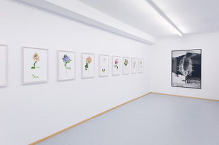 Felix Dobbert RANDOM FLOWERS, 2016 (l.) / Taiyo Onorato & Nico Krebs DEMOLITION CONTINUES, 2012 (r.)