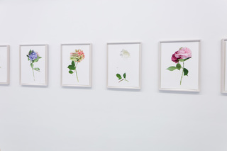 Felix Dobbert, RANDOM FLOWERS, 2016